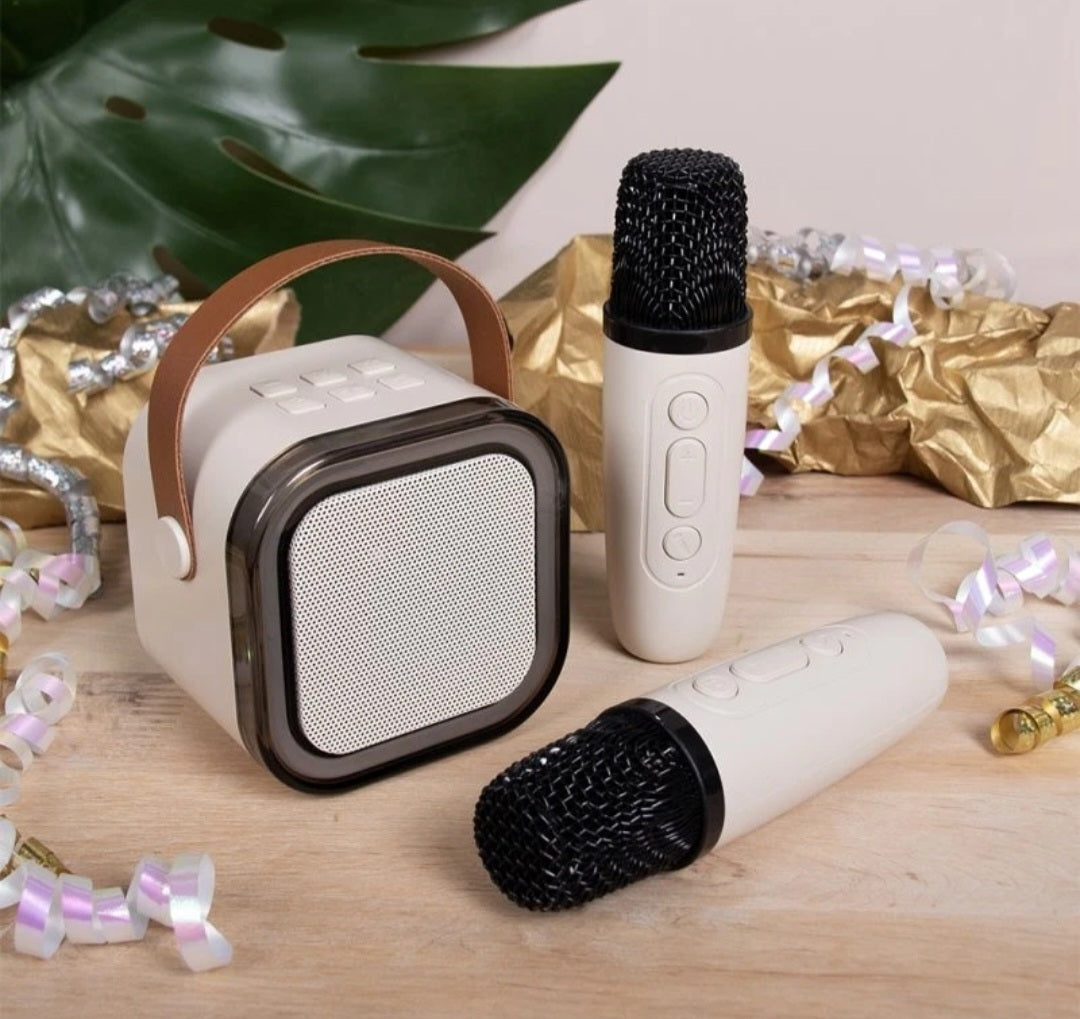 Portable Colour Changing Bluetooth Speaker with 2 Mics
