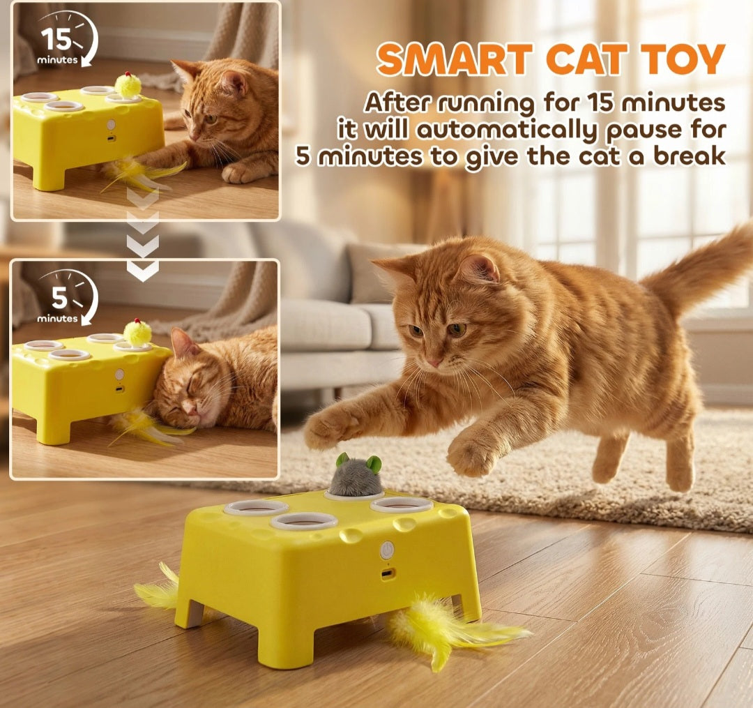 3 in 1 Interactive Cat Toys w/ Mouse & Feather Teaser Toy