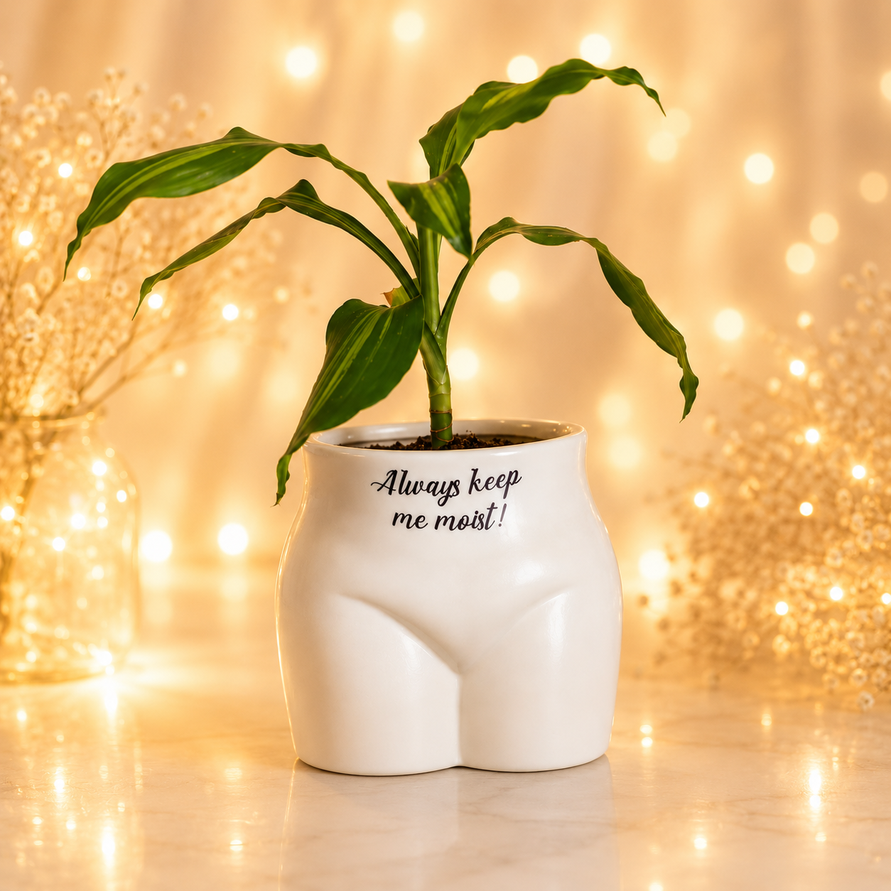 Novelty Plant Pot - Keep Me Moist