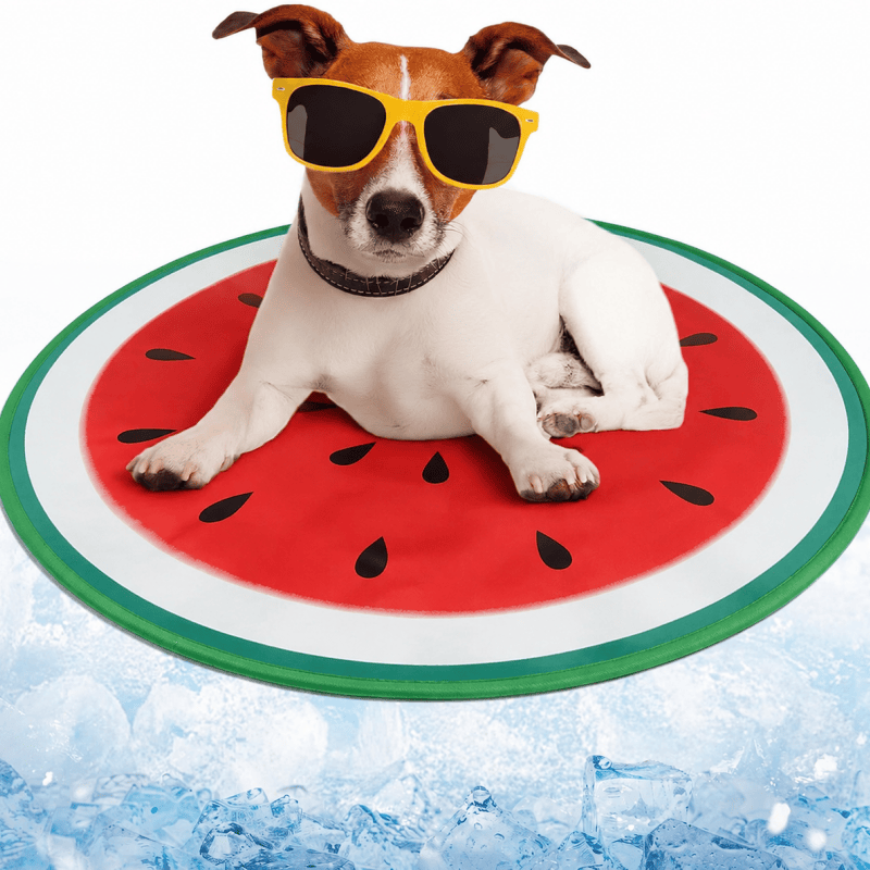 Dog Cooling Mat