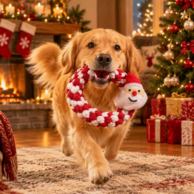 Christmas Santa Dog Rope