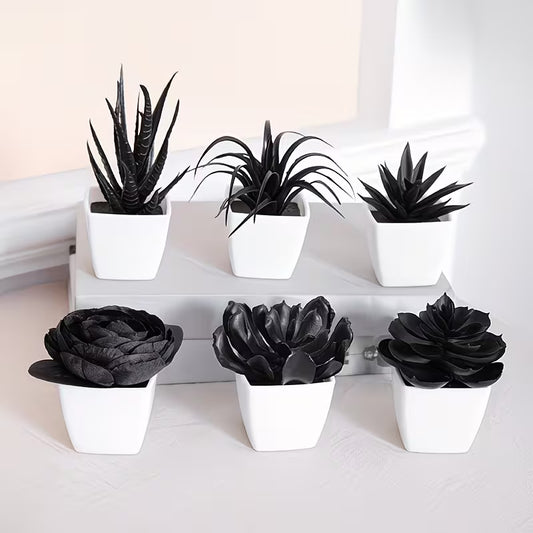 6pcs Black Artificial Succulent Mini Potted Plants
