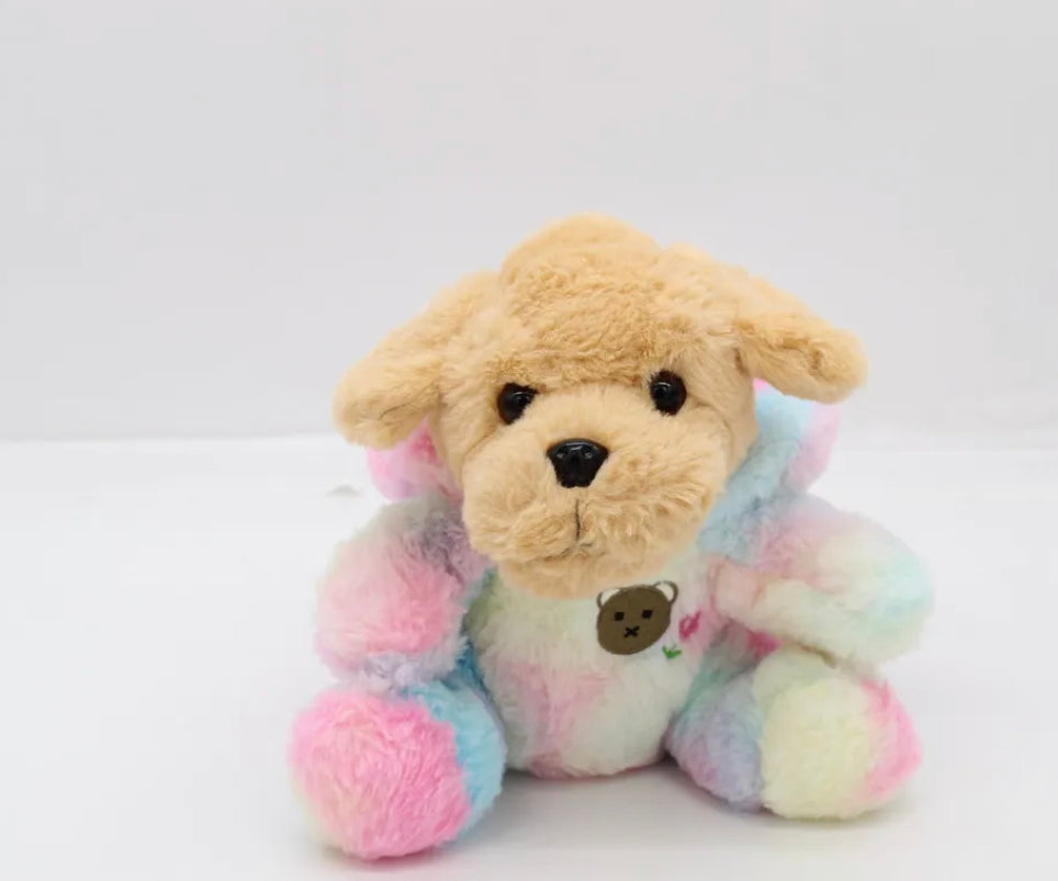 25cm Soft Plush Rainbow Pastel with Hoodie