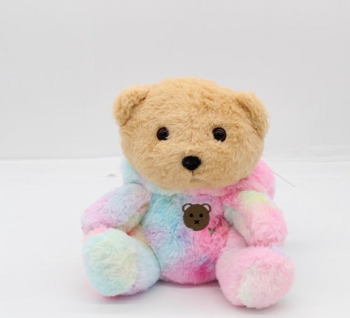 25cm Soft Plush Rainbow Pastel with Hoodie