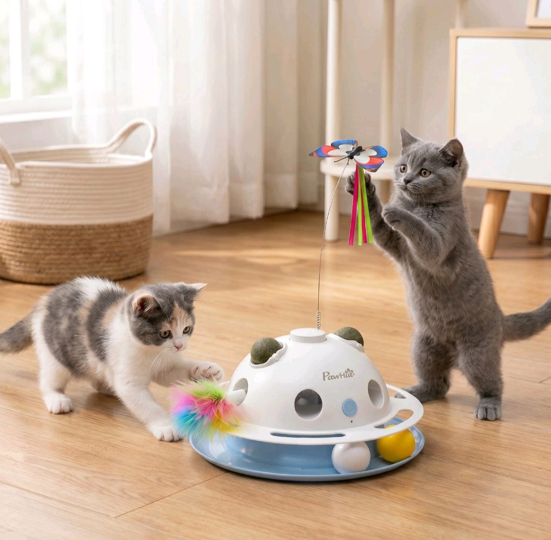 4-in-1 Interactive Cat Toys for Indoor Cats