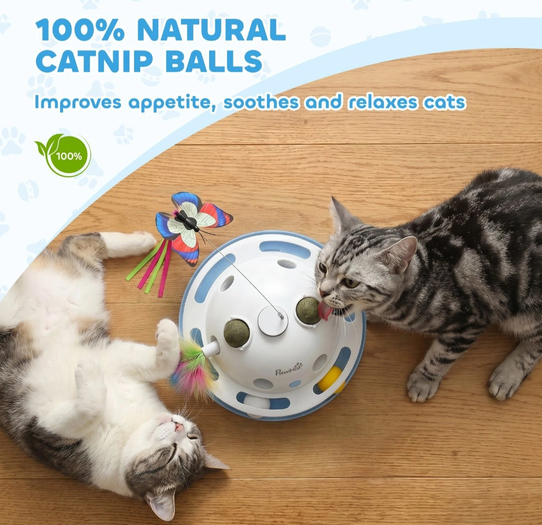 4-in-1 Interactive Cat Toys for Indoor Cats