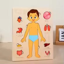 Montessori Teaching /Learning Body Parts - Set of two (1 Boy 1 Girl)