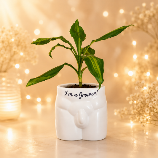 Novelty Plant Pot - I'm A Grower