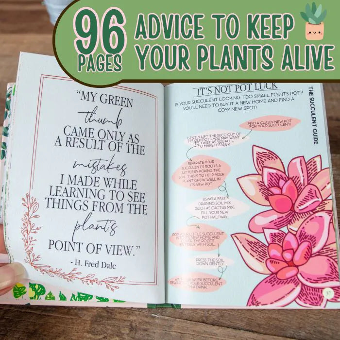 Houseplant Survival Guide