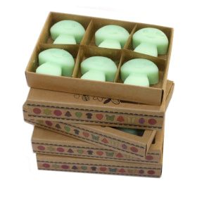 12 x Soy Wax Melts